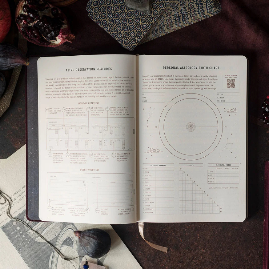 MAGIC OF I. 2027 ASTROLOGICAL PLANNER, POMEGRANATE VELVET