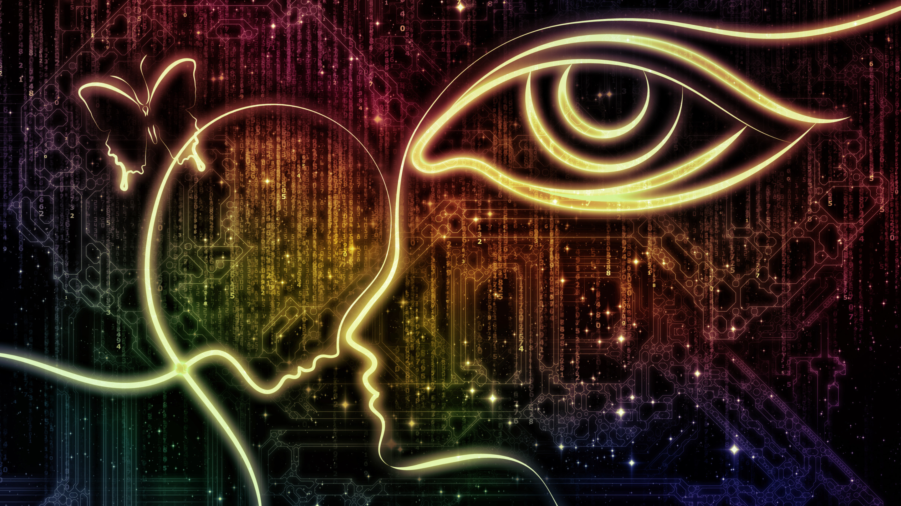 Intuition