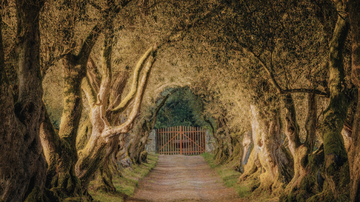 Coming Home to Your Magick: The Eclectic Grimoire Returns